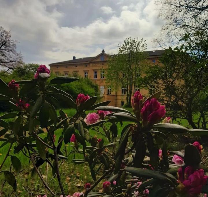 Schloss Tressow Bobitz Kültér fotó